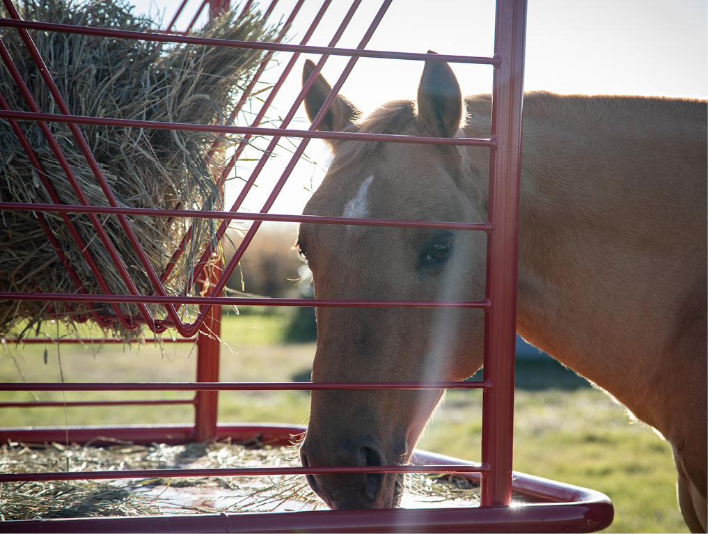 HayRacks2.jpg